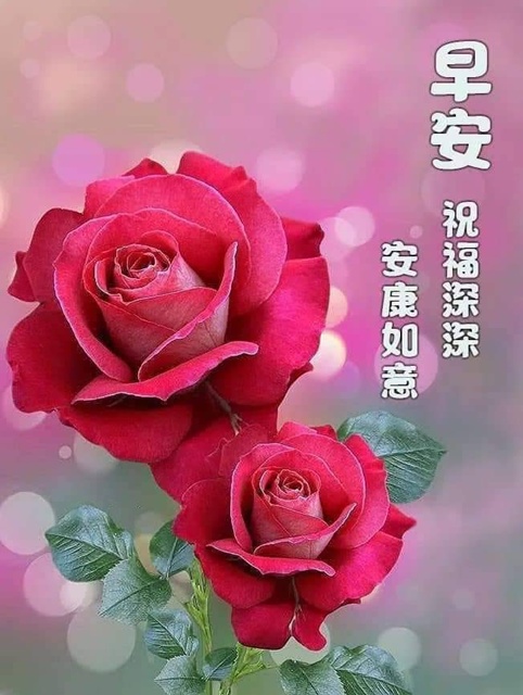 按我可連結至更清楚的圖片
